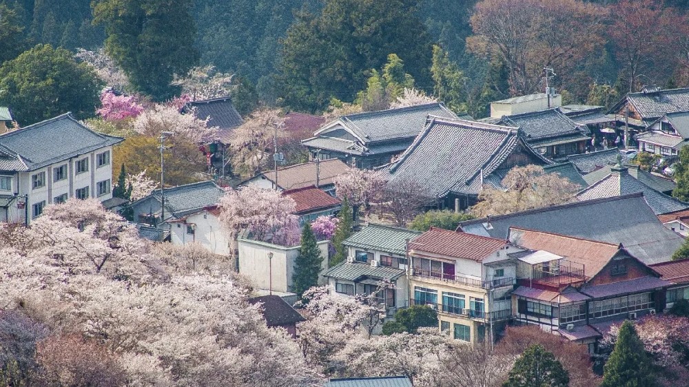 回顾 | 2021年度乡村振兴的10个要闻