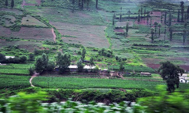 《广西乡村建设行动实施方案(2022—2025年)》发布！