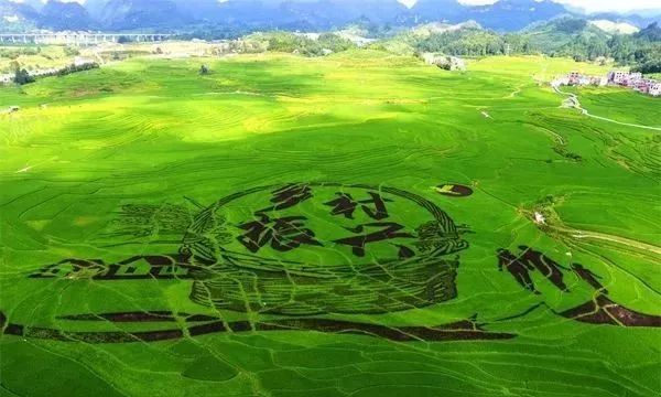 国家农业绿色发展先行区整建制全要素全链条推进农业面源污染综合防治实施方案